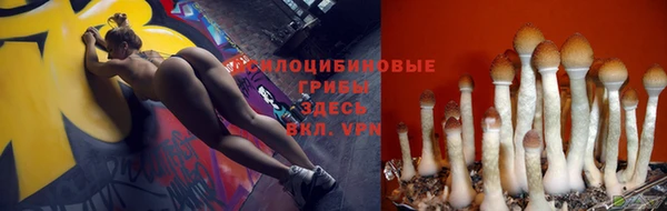 Альфа ПВП Киренск