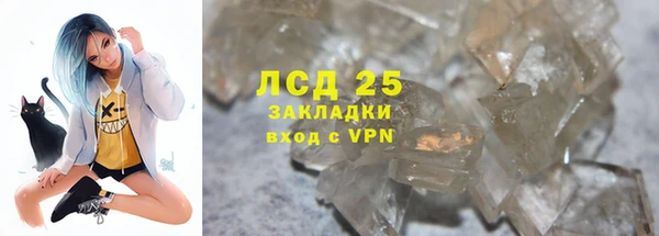 ПСИЛОЦИБИНОВЫЕ ГРИБЫ Верхний Тагил