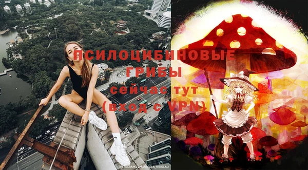 COCAINE Инсар