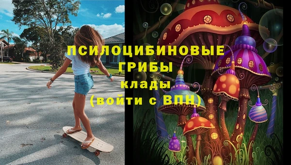 ПСИЛОЦИБИНОВЫЕ ГРИБЫ Верхний Тагил