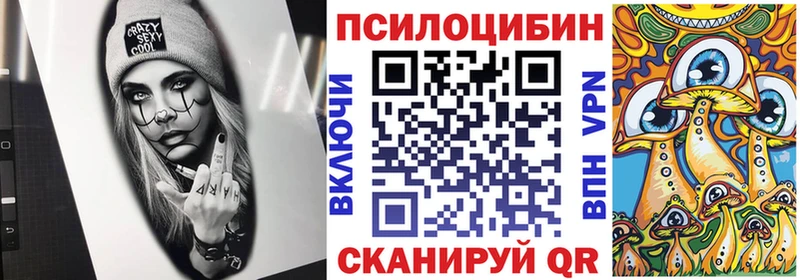 kraken вход  купить   Вилюйск  Галлюциногенные грибы Cubensis 